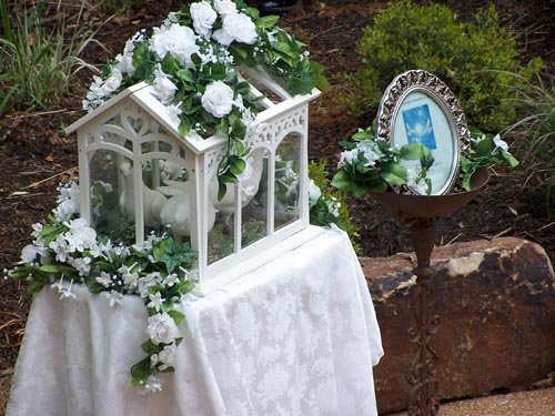 white dove release in glass cage for wedding
