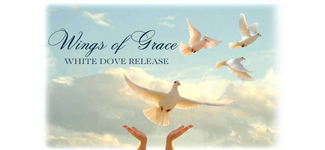 wings of grace white dove release