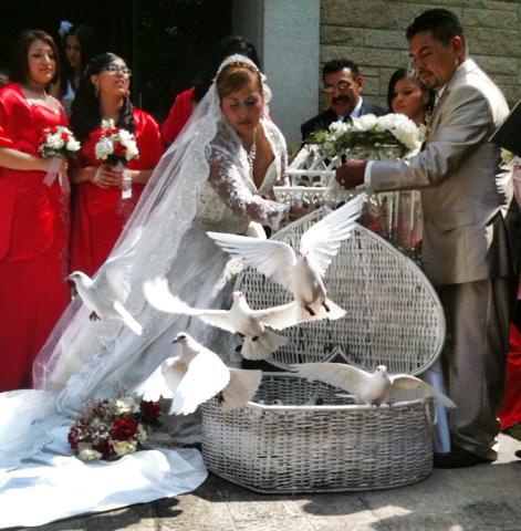 bride and groom releasing doves at wedding
