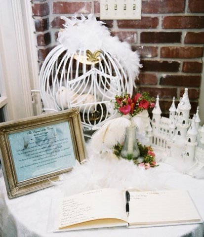 white doves with wedding guestbook