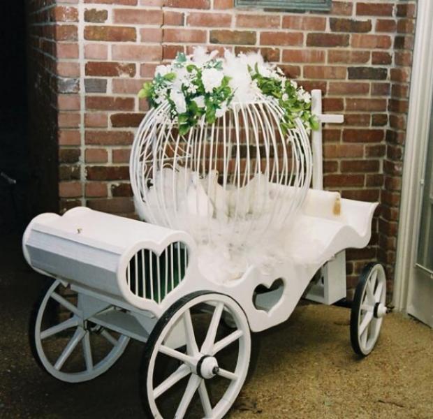 white doves in mini carriage