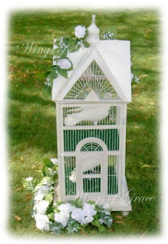 white dove in decorative cage
